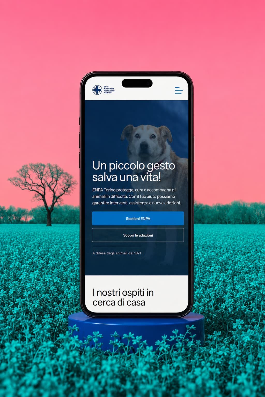 Enpa Sezione Torino - vista principale